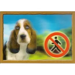 3D-PSI-Schild, Basset Hound